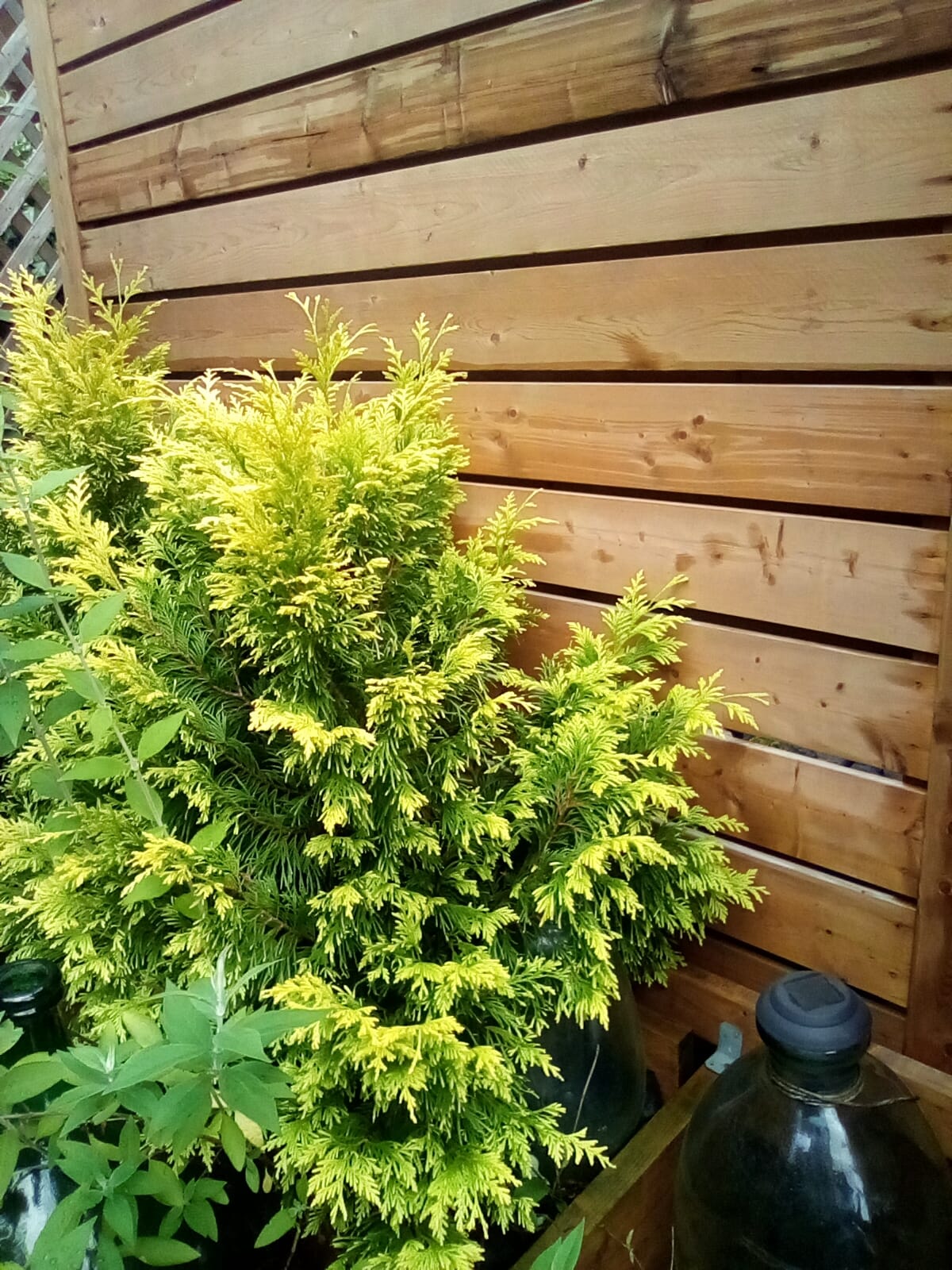 Horizontal Wood Garden Fence